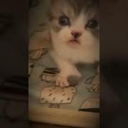 Отпиздить Бы Пару