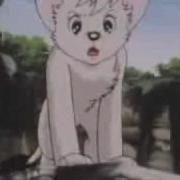 Kimba Animal I Have Become