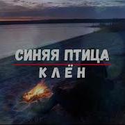 Караоке Синяя Птица
