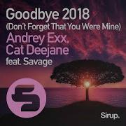Goodbye 2018 Don T Forget That You Were Mine 2018 Original Club Mix