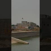 Kabutar