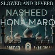 Hona Maro