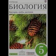 Биология 5 Класс 14 Параграф Пасечник