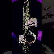 Самат Жанғазин Алтынай Sax Cover By Omsax