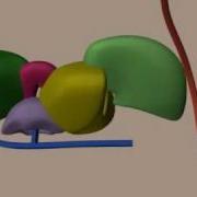 Splice