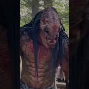 Prey Boy