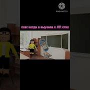 Картошка Шкаф Диван Окно Бустер