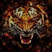 Survivor Eye Of The Tiger Remastered Best Quality