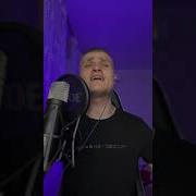 Виталий Загорулько