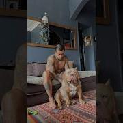 Афиша
