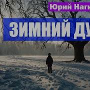 Зимний Дуб