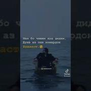 Номардон