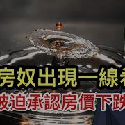 Lt視界 美国立场