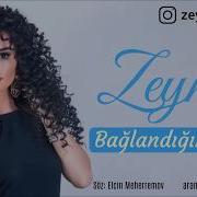 Zeyneb Heseni Baglandigim Insan