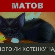 Много Ли Котенку Надо
