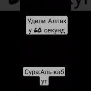 Аль Анкабут