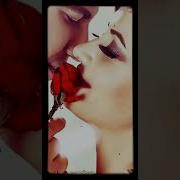 Бир Бора Куксингга Куйиб Ётсам Бош Кушиги