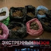 Ахбори Вкд Сипар 17 01 2018 Akhbori Vkd Sipar