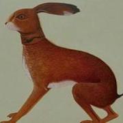 Here Before Vashti Bunyan