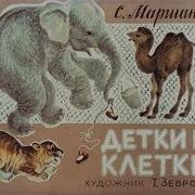 Детки В Клетке