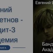 Аудиокниги Евгений Щепетнов