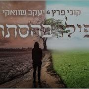 Kobi Peretz