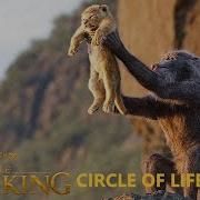 The Lion King 2019 Circle Of Life Eltrece