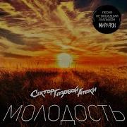 Сектор Газовой Атаки Молодость