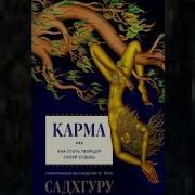 Воин Кармы Аудиокнига