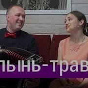 Полынь Трава Пташица