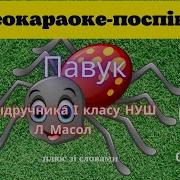 Павук Хижий Головатий