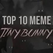 Tiny Bunny Meme Animation