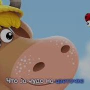 Буренка Даша Божья Коровка