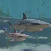 Wildcraft Swim Like A Dolphin Bite Like A Shark