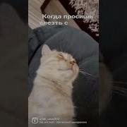 Прико Звонок В Органы Опеки