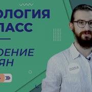 Биология 6 Класс Параграф 7 Строение Семян