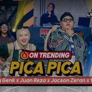 Ndarboy Pica Pica