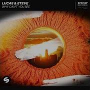 Lucas Steve Why Can T You See Extended Mix