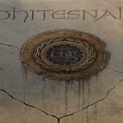 Whitesnake Backing Track