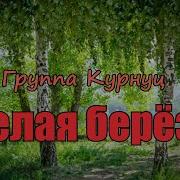 Кобяков Белая Береза