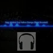 Stanga Slowed
