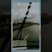Мусалмон