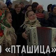 Ансамбль Пташица Минус Полынь Трава
