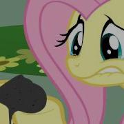 Mlp Fluttershy Crying