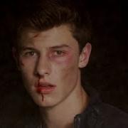 Shawn Mendes Stitches