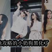 L征服