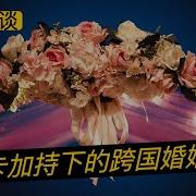 弘哥杂谈 妻子说