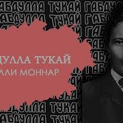 Минусовка Милли Моңнар