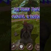 Вы Тоже Такие Сидите Потом