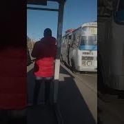 Хруст Пазика